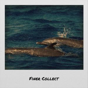 Finer Collect