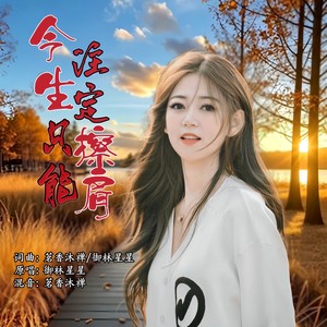 今生注定只能擦肩