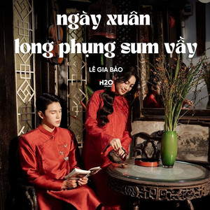 Ngày Xuân Long Phụng Sum Vầy (Lofi)