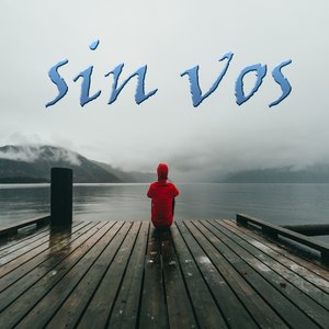 Sin Vos