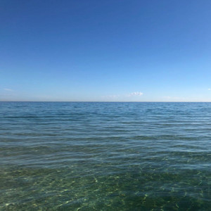 心愿便利贴 (尤克里里版)