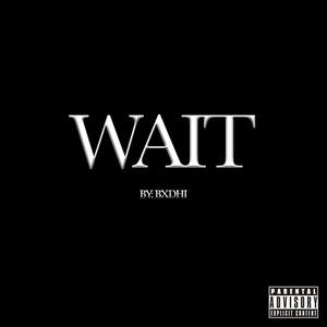 WAIT... (Explicit)