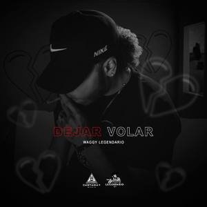 Dejar Volar