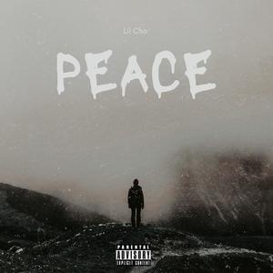 PEACE (Explicit)