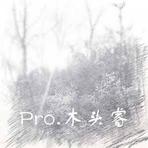 Pro.木头睿