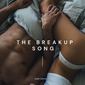 The Breakup Song