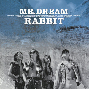 Rabbit - MR.DREAM