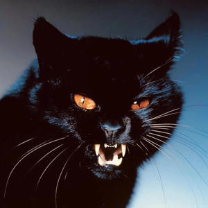 90210 (feat. pionswrld) (Explicit)