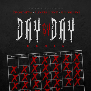 Day by Day (Radio Remix)