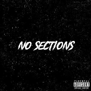 No Sections (Explicit)