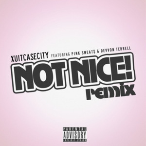 Not Nice (Remix)