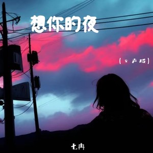 想你的夜-七冉
