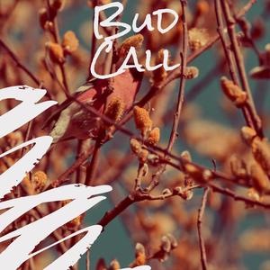 Bud Call