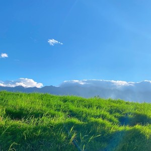 就算是