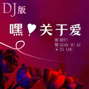 嘿！关于爱 (DJ版)