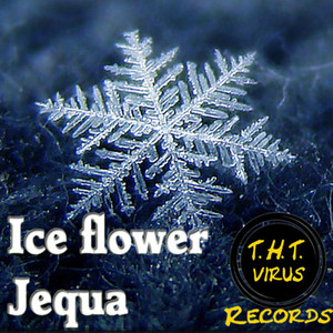 Ice Flower