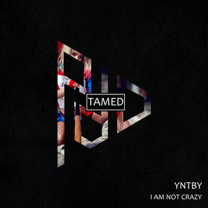 I Am Not Crazy (Original Mix)