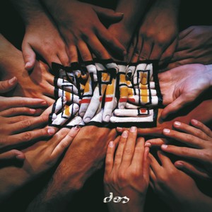 Pájaro Salín(Introducción)