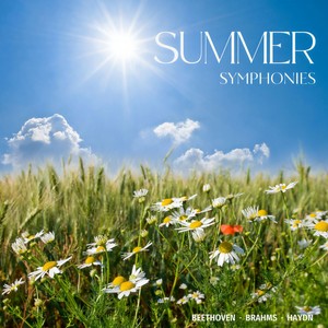 Brahms: Variations on a Theme by Haydn, Op. 56a - Finale. Andante