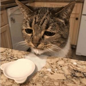 Rolling 7 (feat. Trey XM) (Explicit)