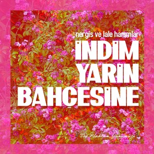 İndim Yarin Bahçesine (Taş Plaktan Günümüze)