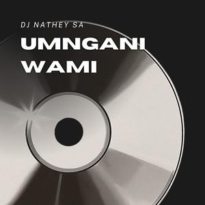 Umngani Wami (Babes wodumo Remix) [Explicit]