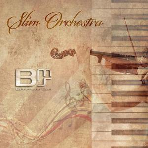 Slim Orchestra