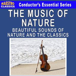 Piano Concerto in A Major, K. 414: Andante