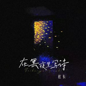 在黑夜里写诗