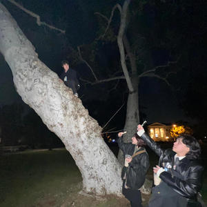 el duende (Single Version)