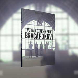 Braca po krvi