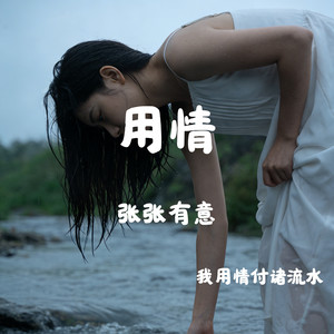 用情（我用情付诸流水）