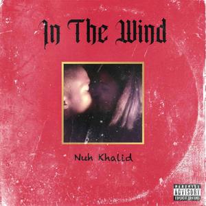 In The Wind (Explicit)