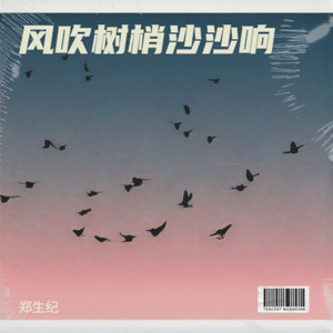 无奈的放手封面