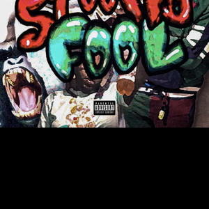 Stoopid Fool (Explicit)