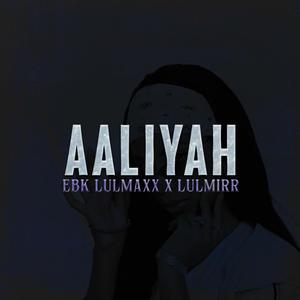 Aaliyah (feat. LulMirr) [Explicit]