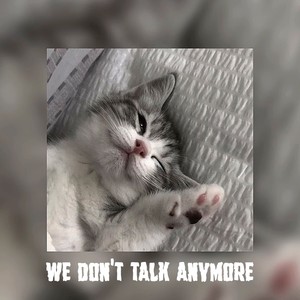 we don't talk anymore (speed up) [Remix]