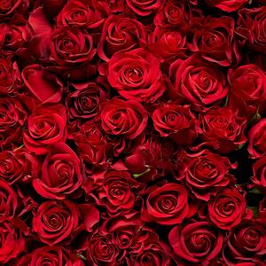 ROMANTICO (feat. Kovine)