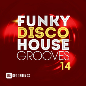 Funky Disco House Grooves, Vol. 14