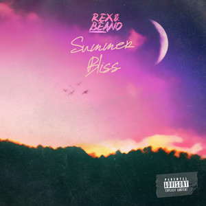 Summer Bliss (Explicit)