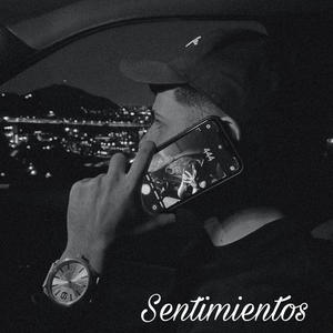 Sentimientos
