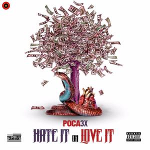 Hate It or Love It (Explicit)