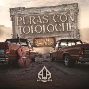 Puras Con Tololoche (En Vivo)