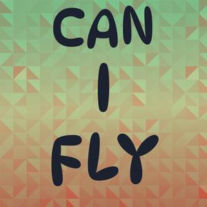 Can I Fly