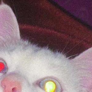 BE LIKE ME ! (Explicit)