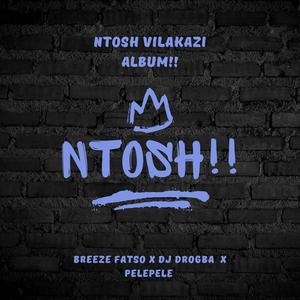 UTHANDO (feat. Breeeze Fatso & PELEPELE) (Explicit)