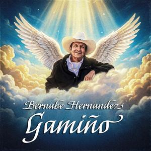 Bernabe Hernandez Gamiño