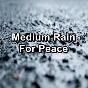 Summer Rain on a Tin Roof For Babies to Relax and Rest