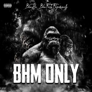 BHM Only (Explicit)