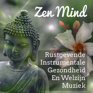 Zen Mind - Rustgevende Instrumentale Gezondheid En Welzijn Muziek voor Energiecentrum Stress Verminderen Massage Therapie met Natuur New Age Geluiden